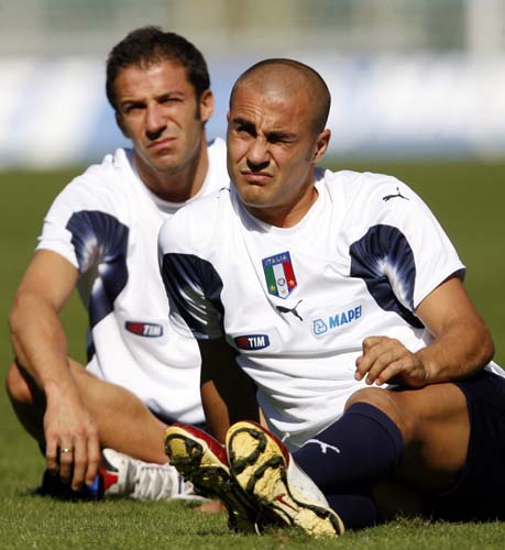 能包括以下 能包括以下