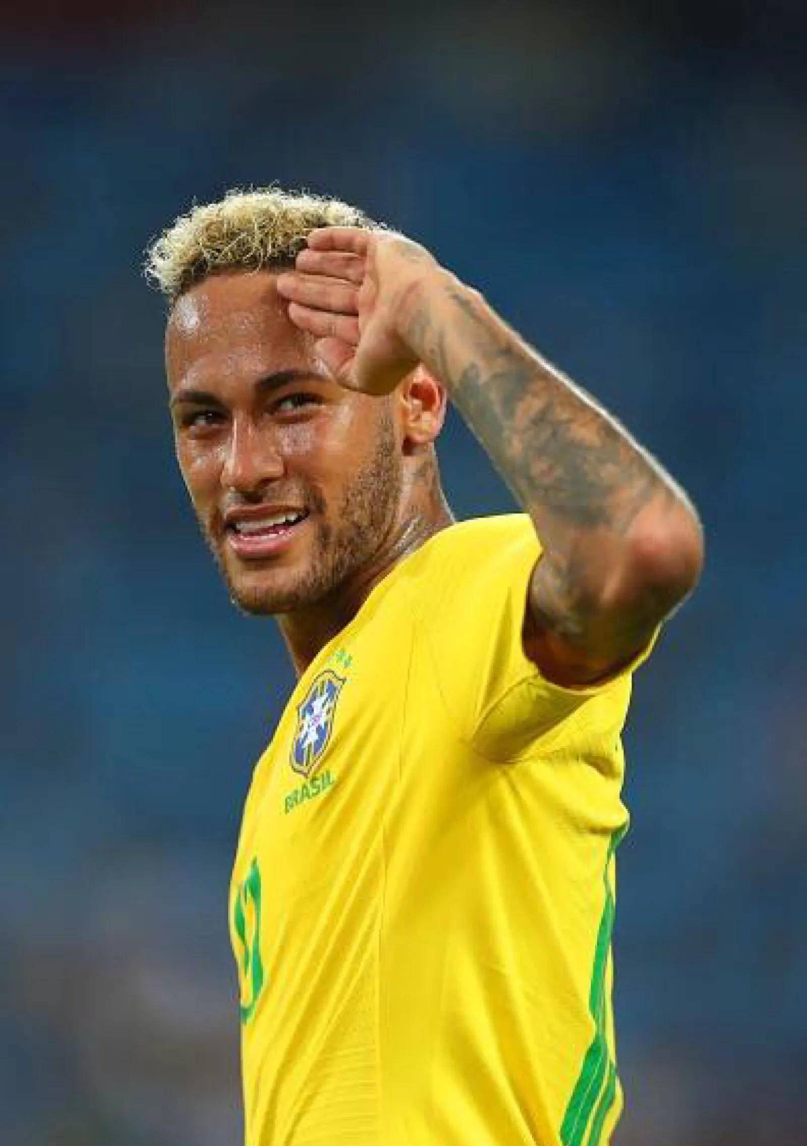 因为它不仅 因为它不仅