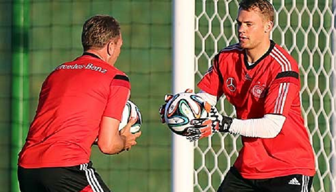 高卢雄鸡 高卢雄鸡