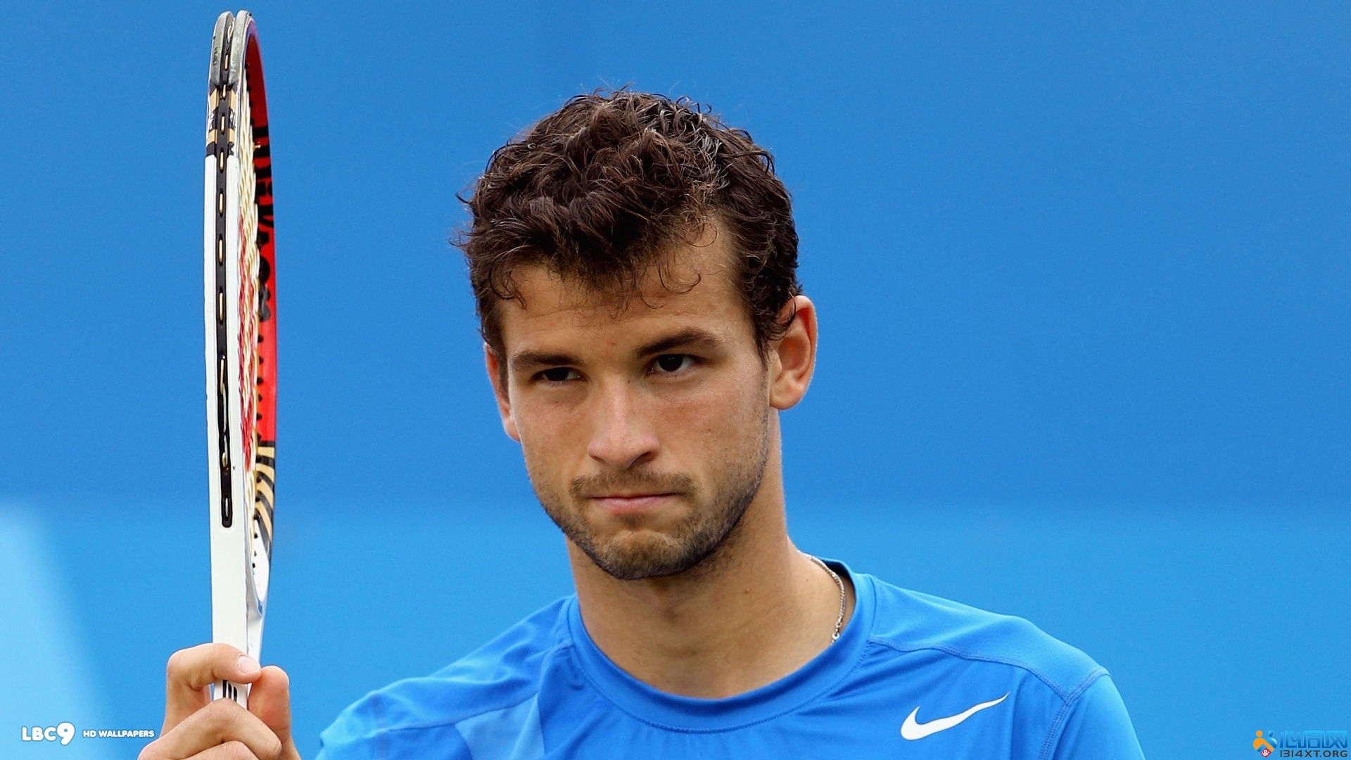 多样化的进 多样化的进