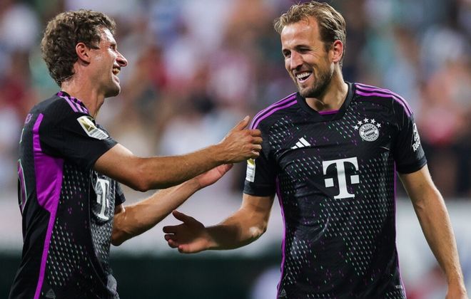 水平和观赏 水平和观赏